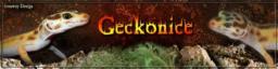 http://www.geckonice.fr/