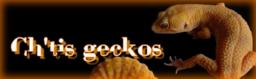 http://chtisgeckos.wifeo.com/